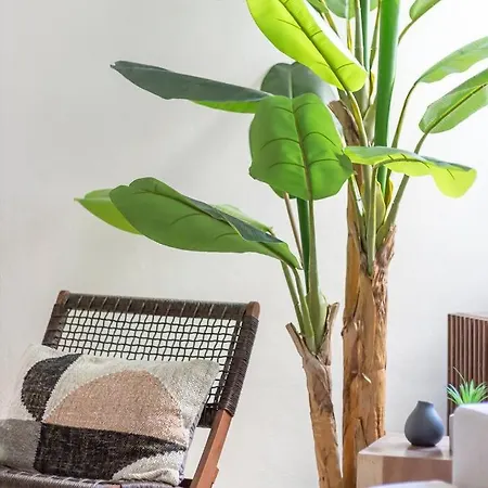 Zen Retreat In The Historic Center With A Huge Balcony Апартаменты Corfu (city)